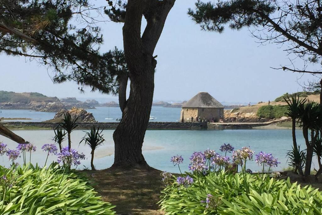 Charmante Maison Bretonne Renovee Avec Jardin Clos Wifi Holiday home *